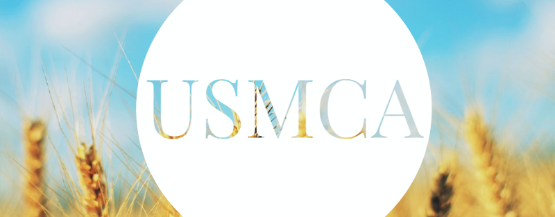USMCA Logo